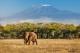 How Long Does It Take to Climb Kilimanjaro?