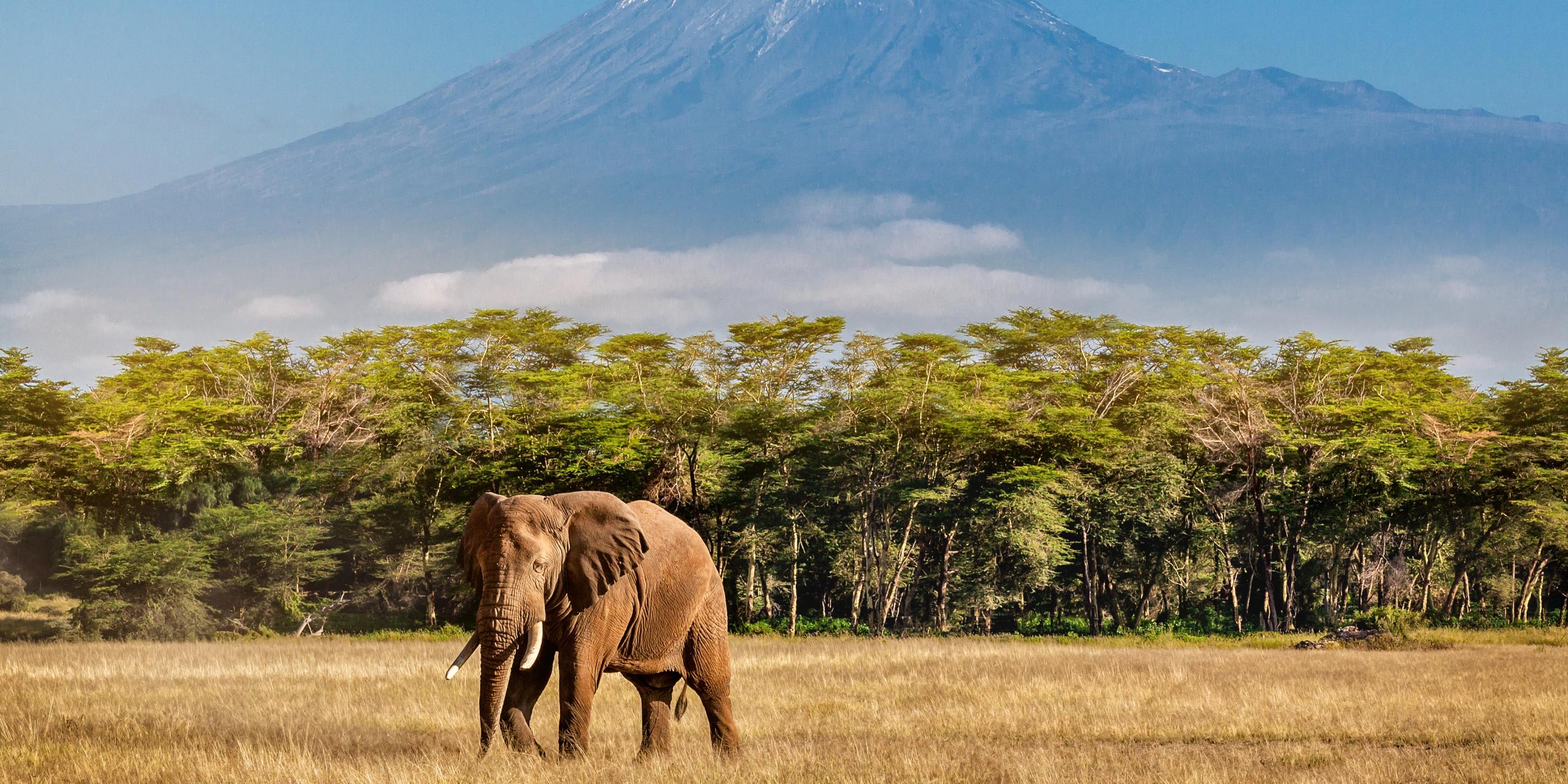 How Long Does It Take to Climb Kilimanjaro?