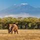 How Long Does It Take to Climb Kilimanjaro?