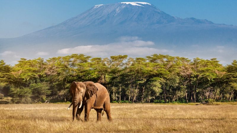 How Long Does It Take to Climb Kilimanjaro?