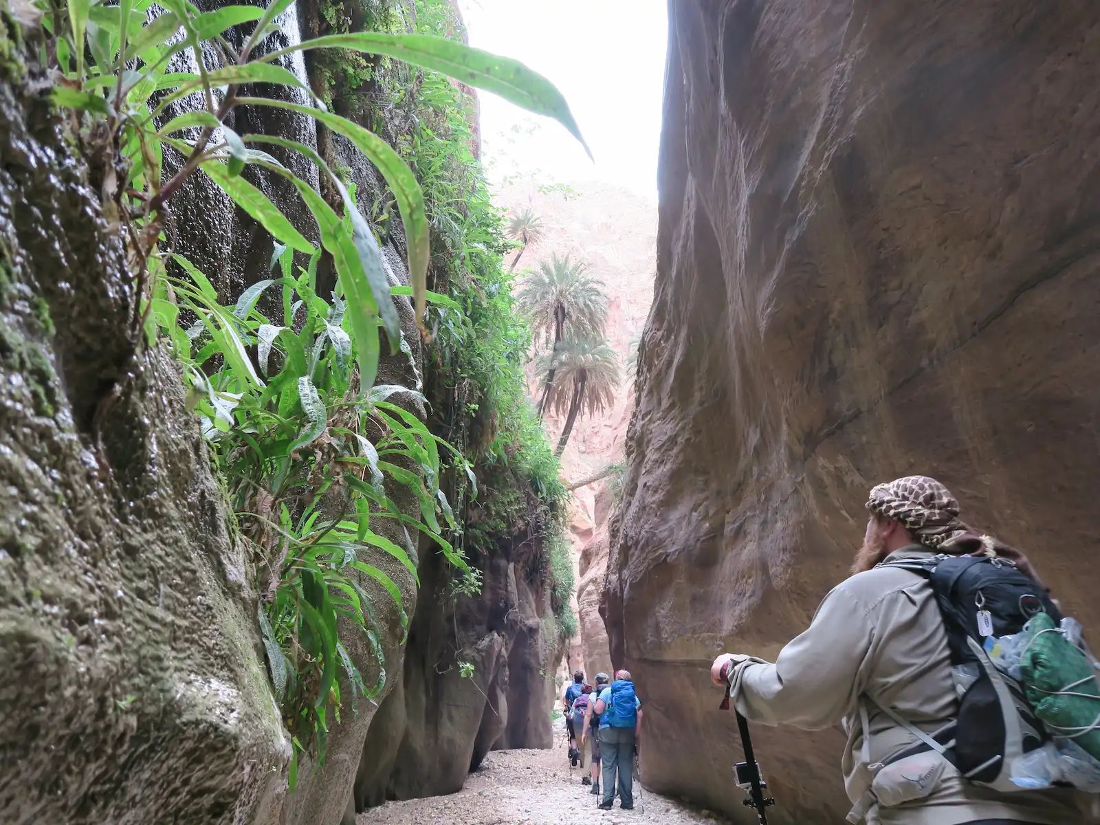 Jordan Desert Trek to Petra - Photo 16