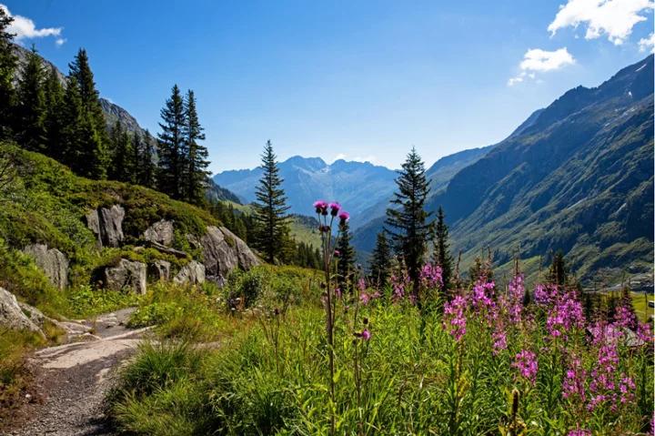 Beginners Guide to Hiking the Tour du Mont Blanc