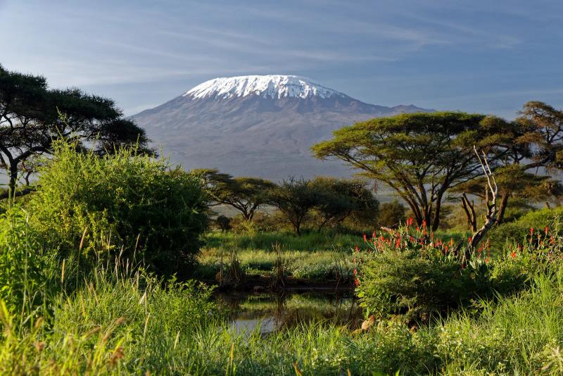 landscape photo of kilimanjaro