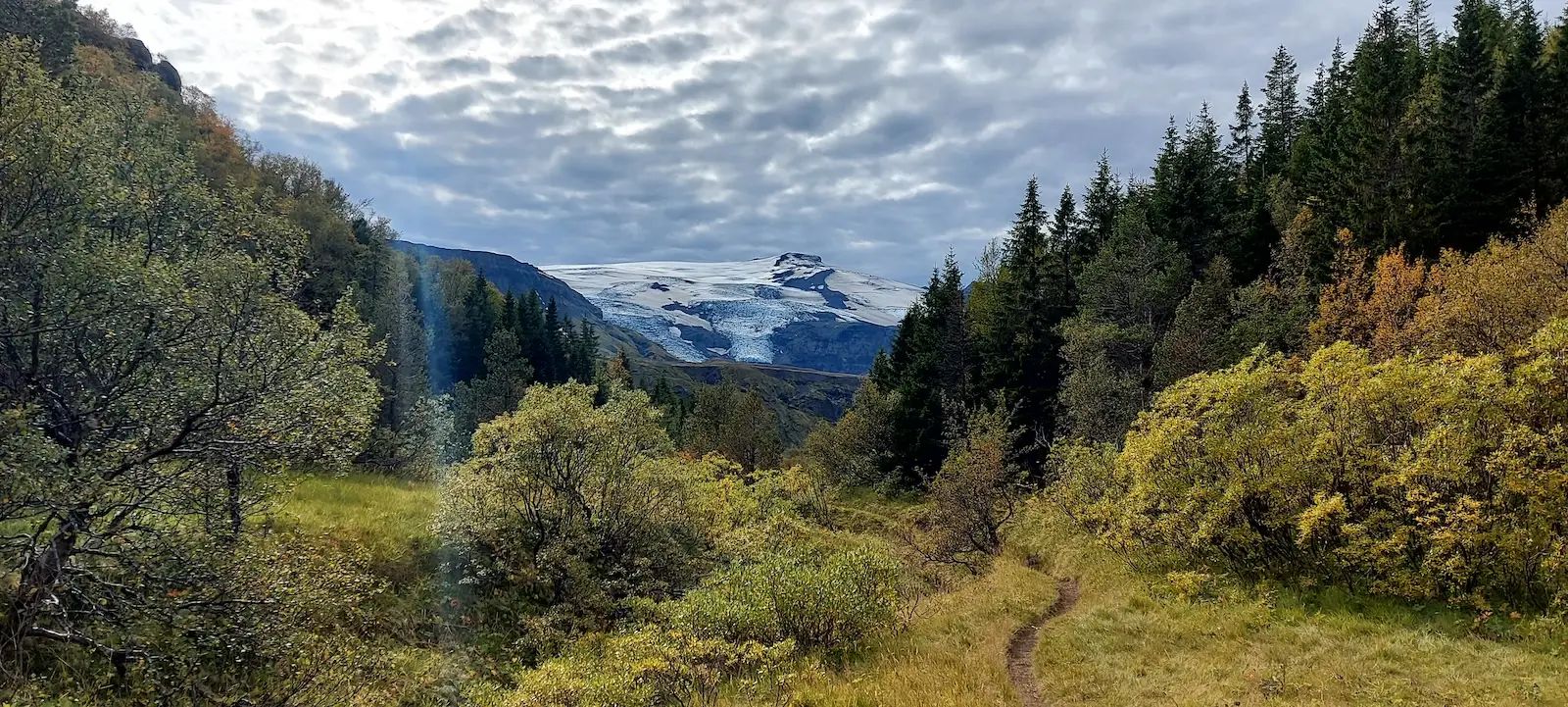 Thorsmork - glacier landscape forest pathway