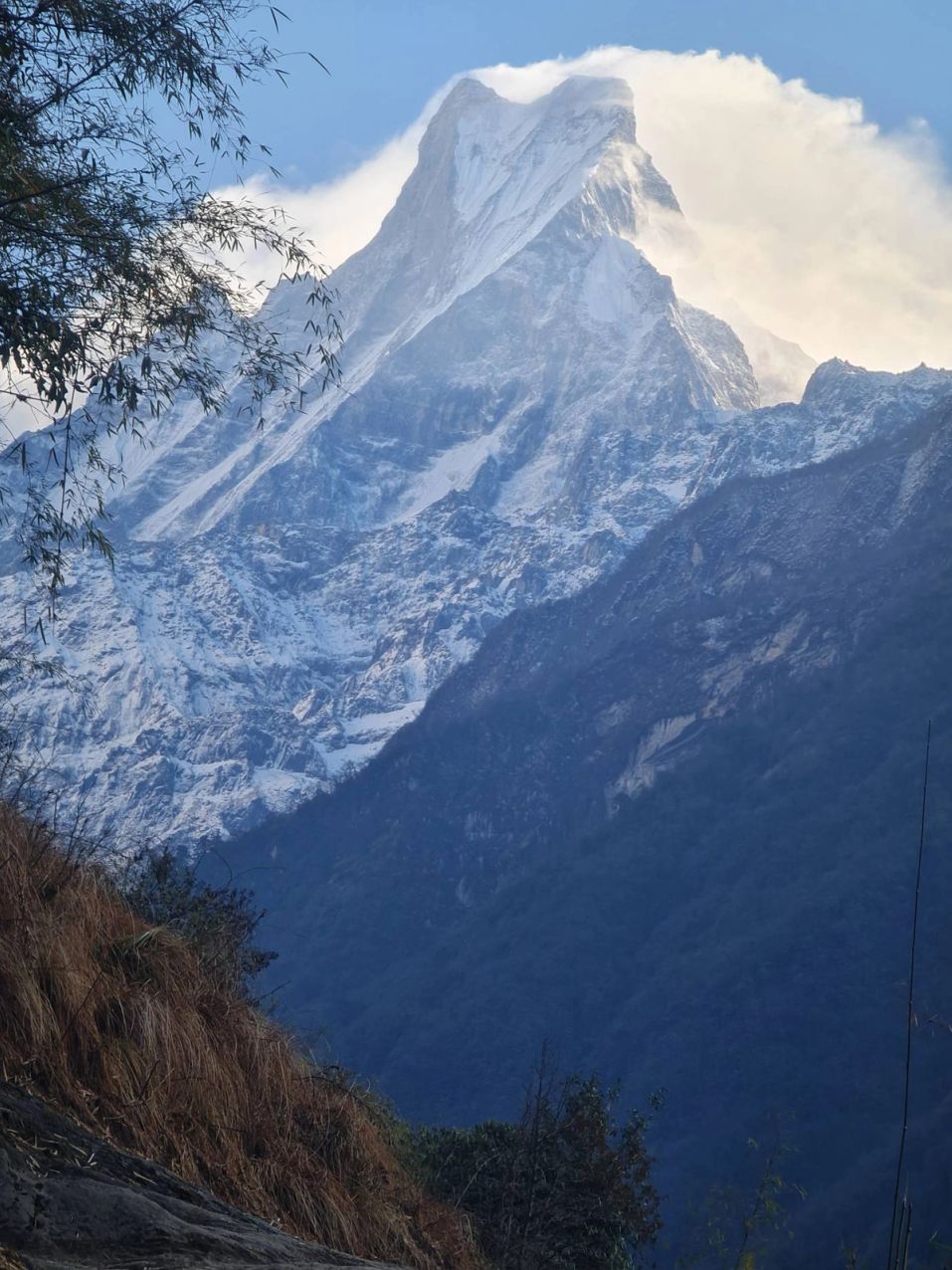 Annapurna Base Camp Trek - 13 Days - Photo 10