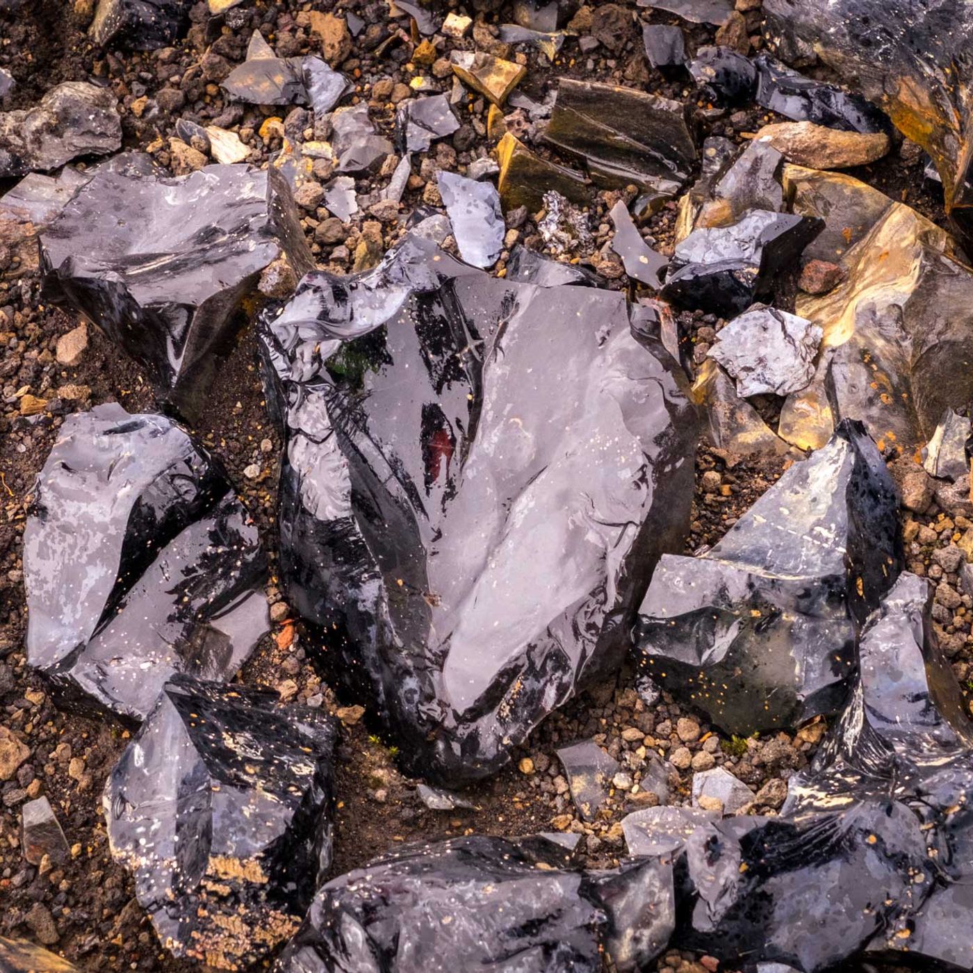 Black obsidian formations in Skælingar lava forest