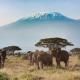 Is Mount Toubkal Harder than Kilimanjaro? A Climber’s Comparison