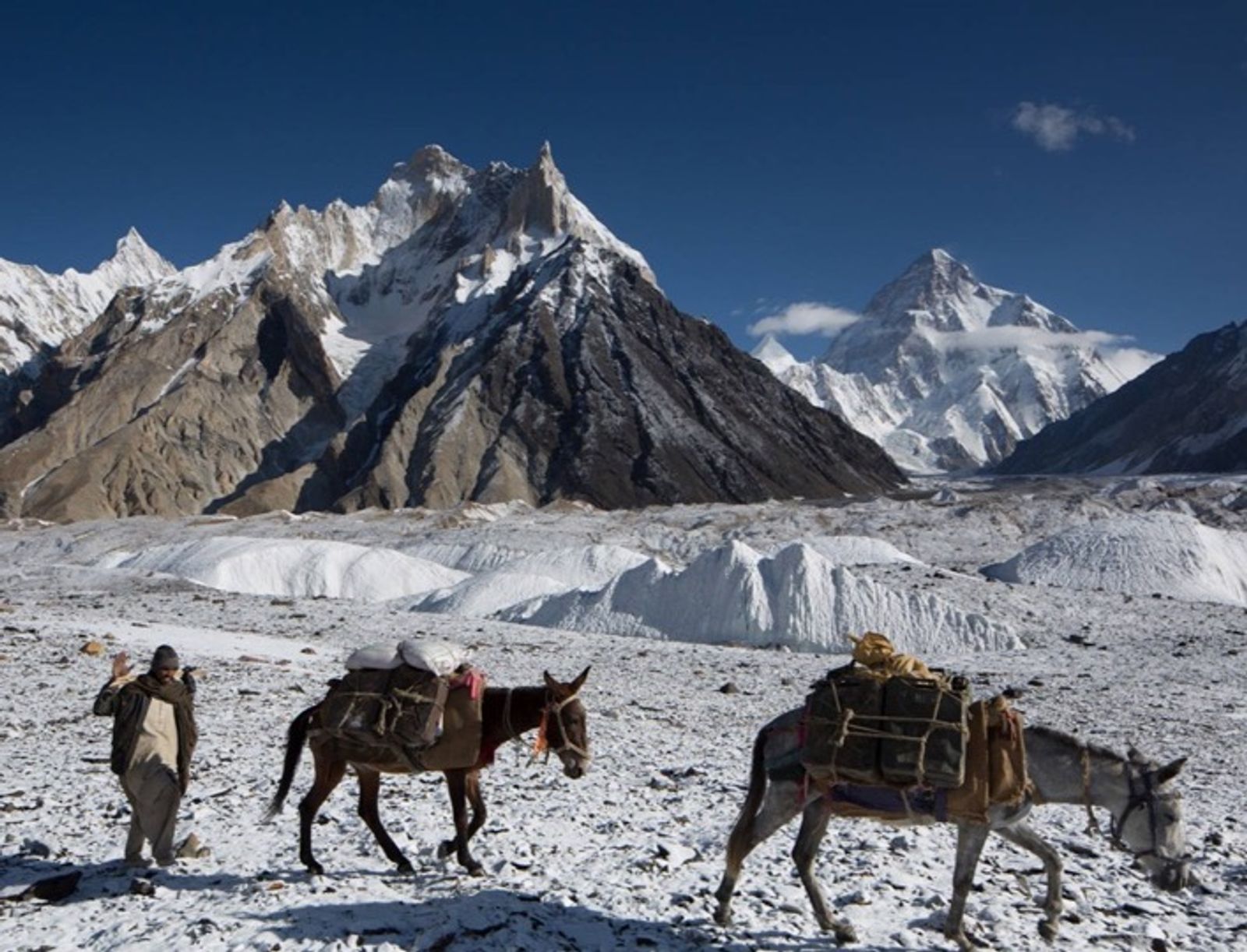 K2 Base Camp with Everest Guide - Photo 1