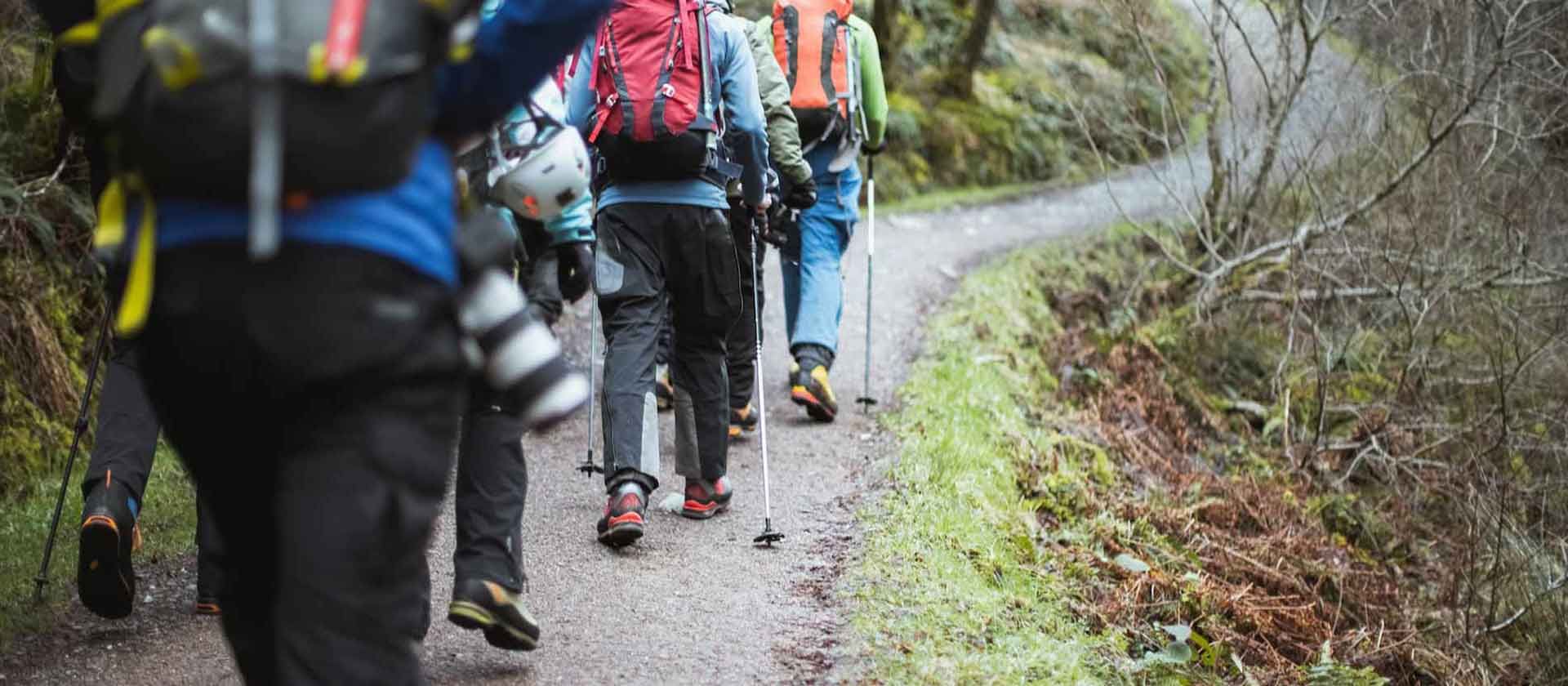 Best Hiking Socks for 2025 Adventures