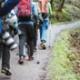 Best Hiking Socks