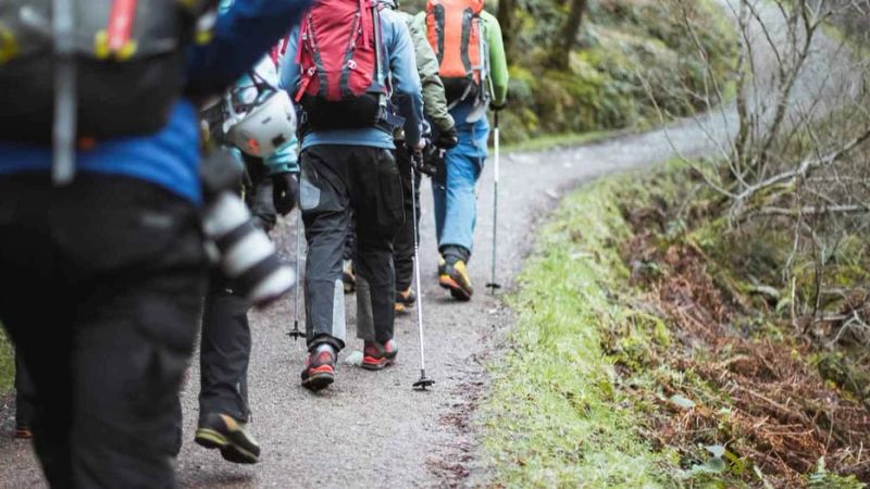 Best Hiking Socks for 2025 Adventures