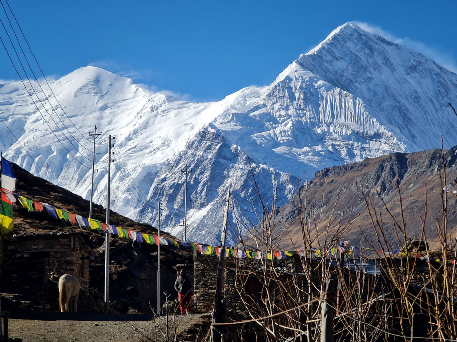 Annapurna Circuit Trek - 16 Days - Photo 6