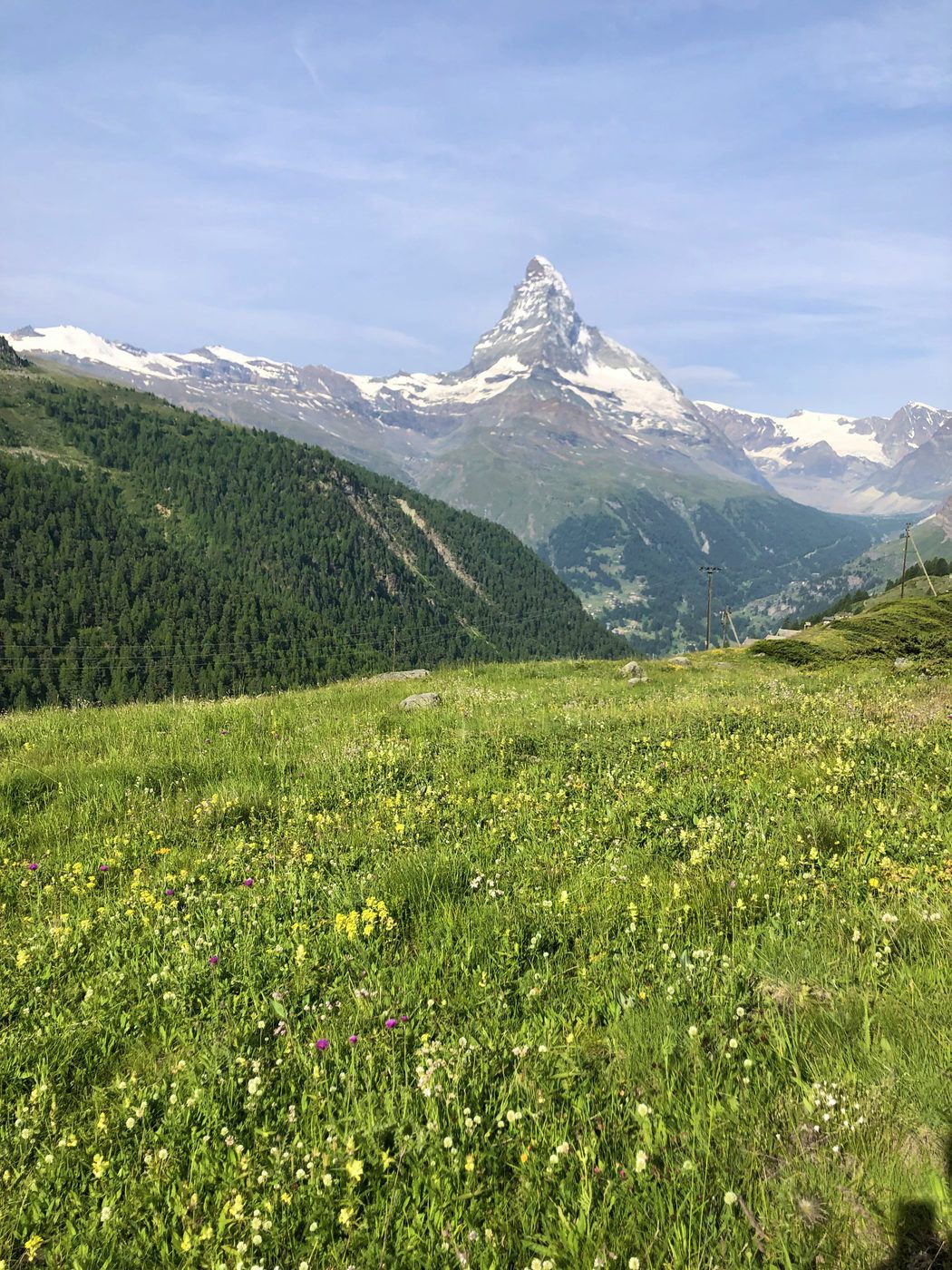 Wide Matterhorn panorama with alpine meadow and dramatic sky