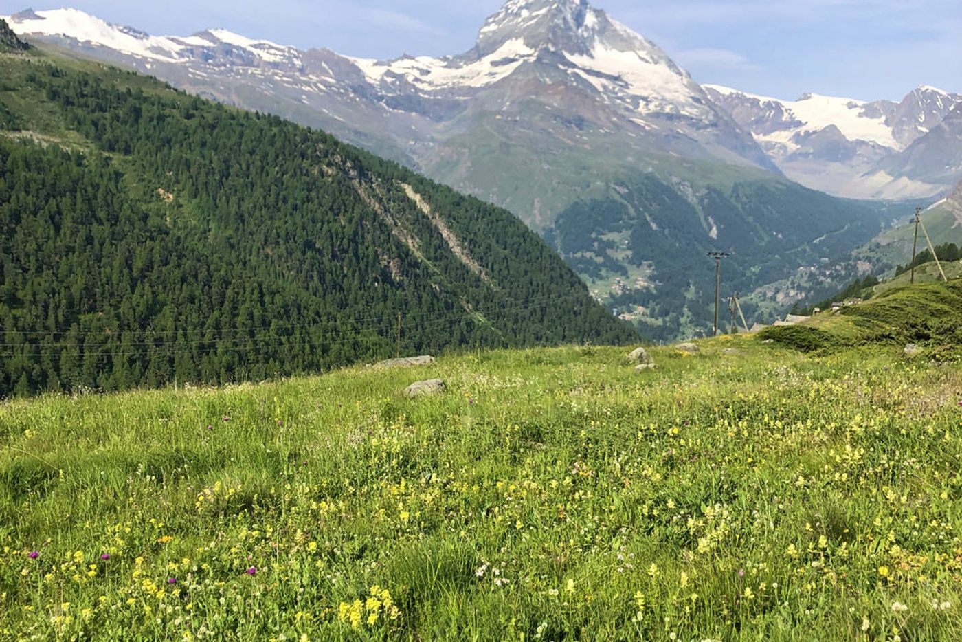 Wide Matterhorn panorama with alpine meadow and dramatic sky