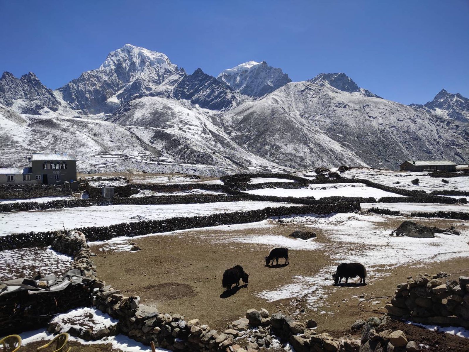Everest Three Passes Trek - 20 Days - Photo 7