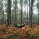 Wild Night Out: The Best Camping Hammock for 2025