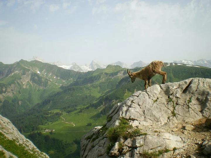 Beginners Guide to Hiking the Tour du Mont Blanc
