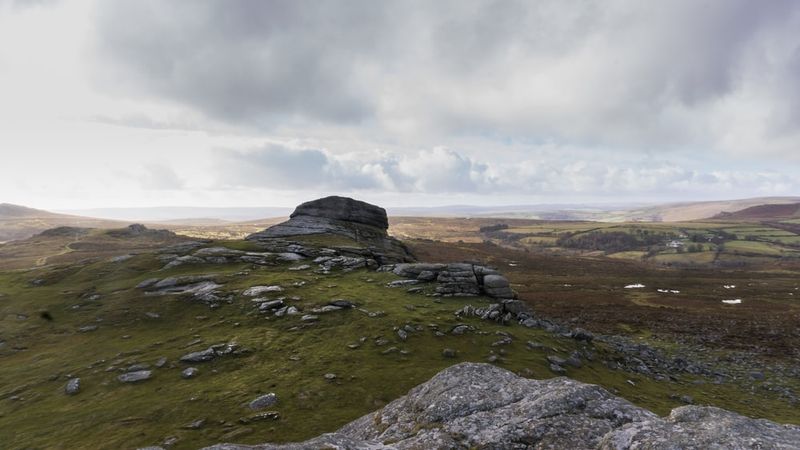 Wild Places UK - Duck's Pool Dartmoor