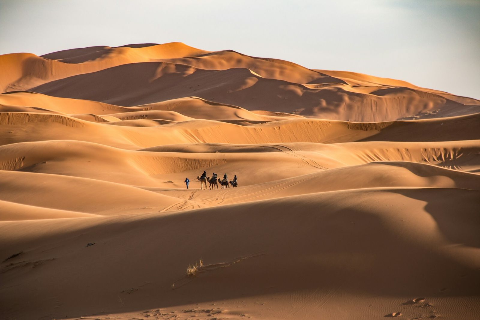 Mount Toubkal Trek + Erg Chebbi Sahara Extension - Photo 4