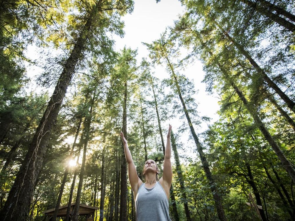 Person meditating in nature