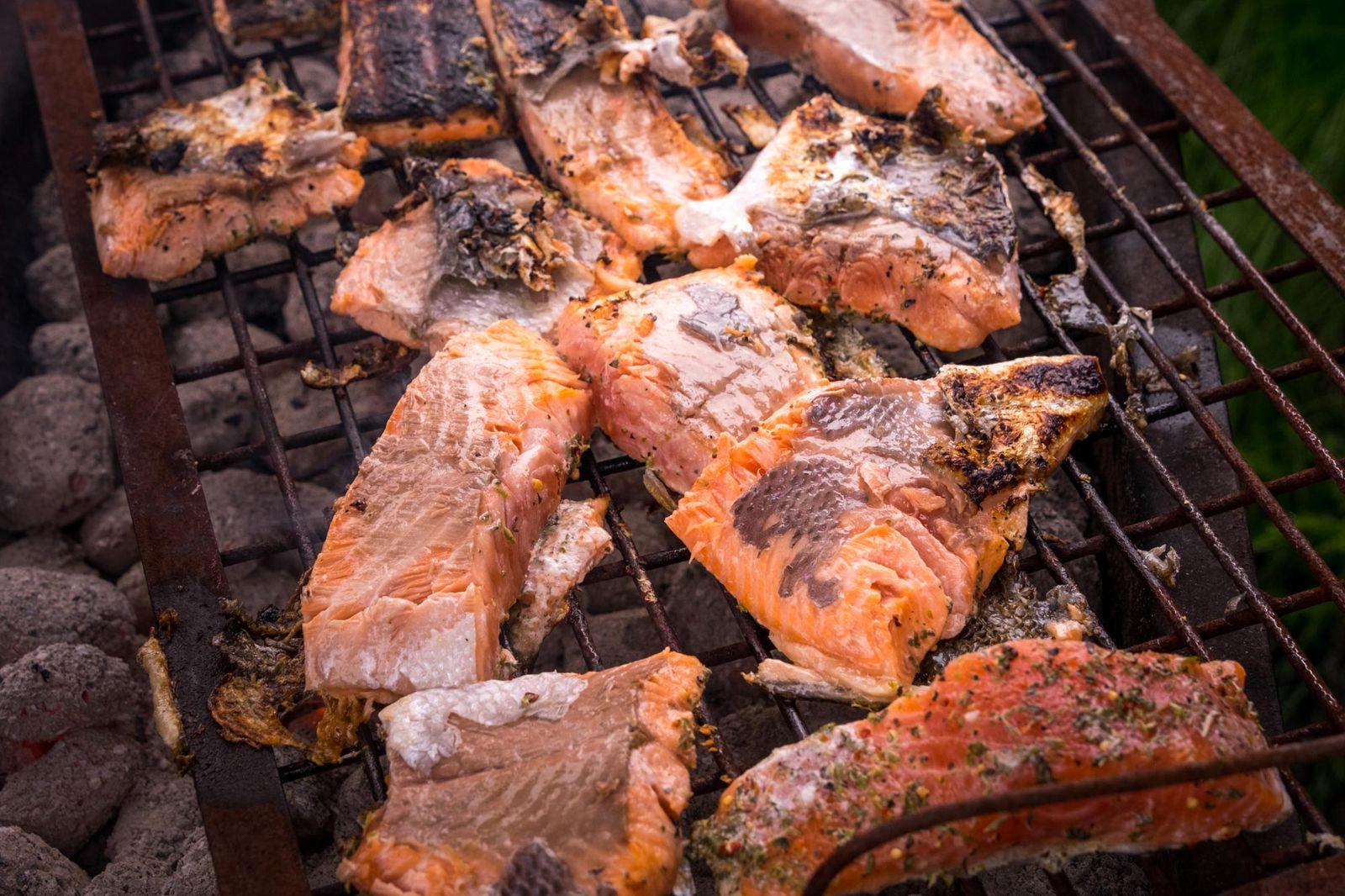 Grilled salmon cooking at mountain hut