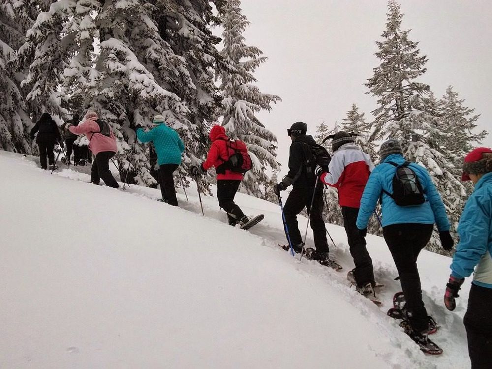 Beginners snowshoeing through the snowy Swiss Alps