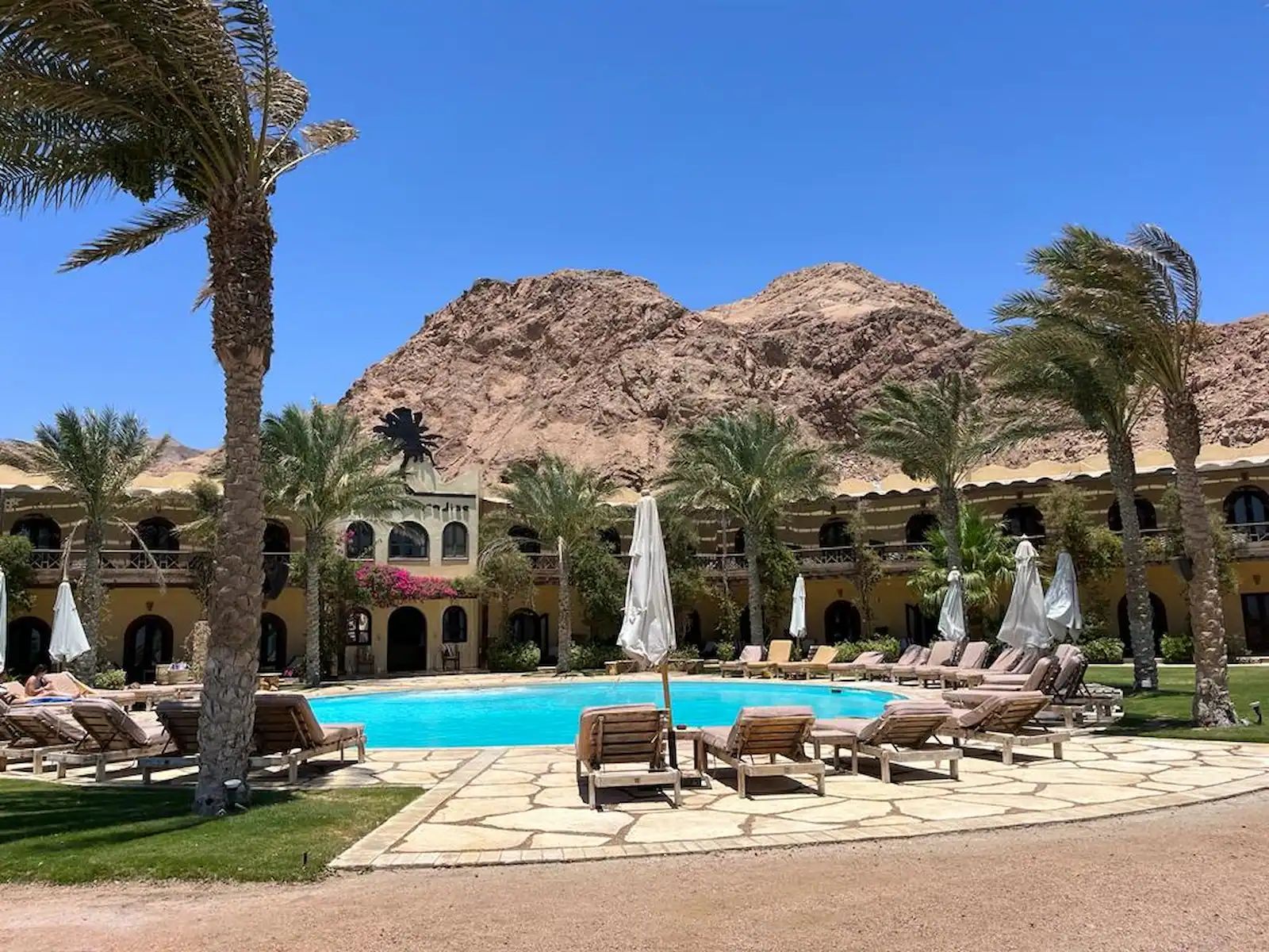 Discovering the Sinai Peninsula – Summit to Sea - Photo 5