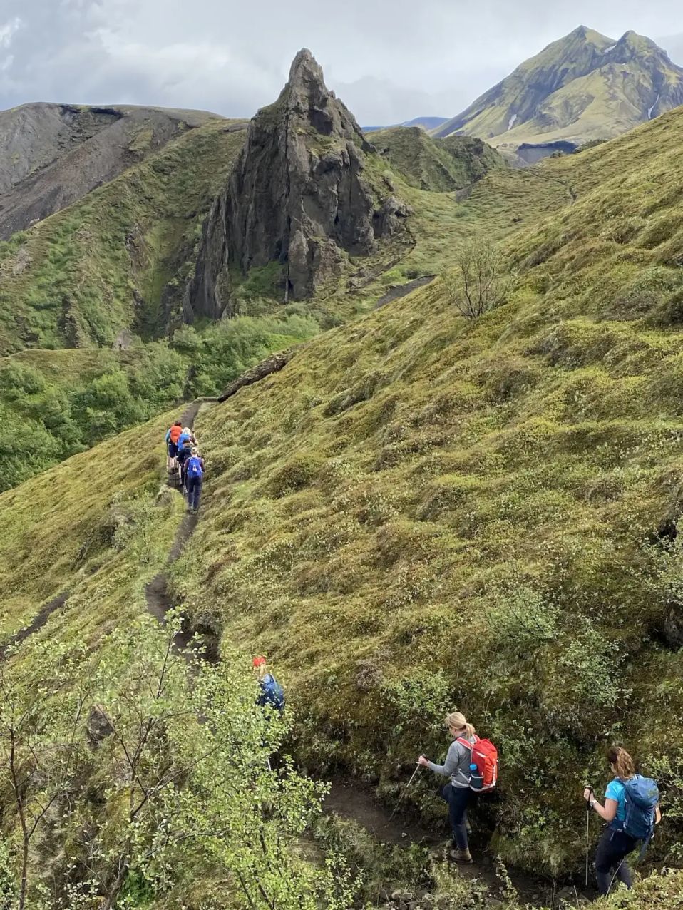 Thorsmork - hiking group mountains greenery
