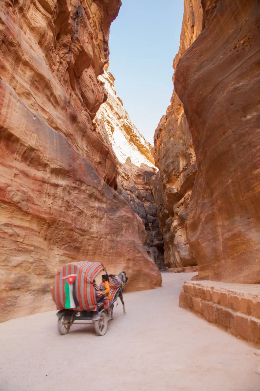 Jordan Desert Trek to Petra - Photo 22