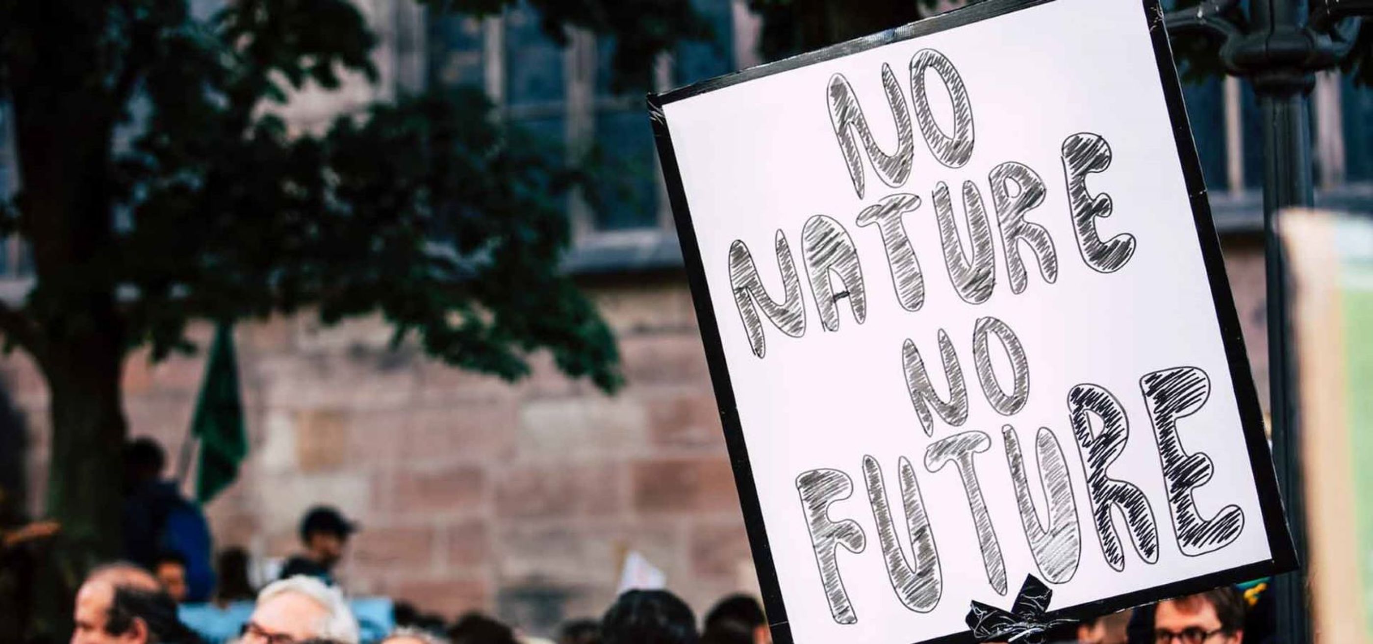 Protect What You Love: Why Loving the Outdoors Means Good Things for the Planet
