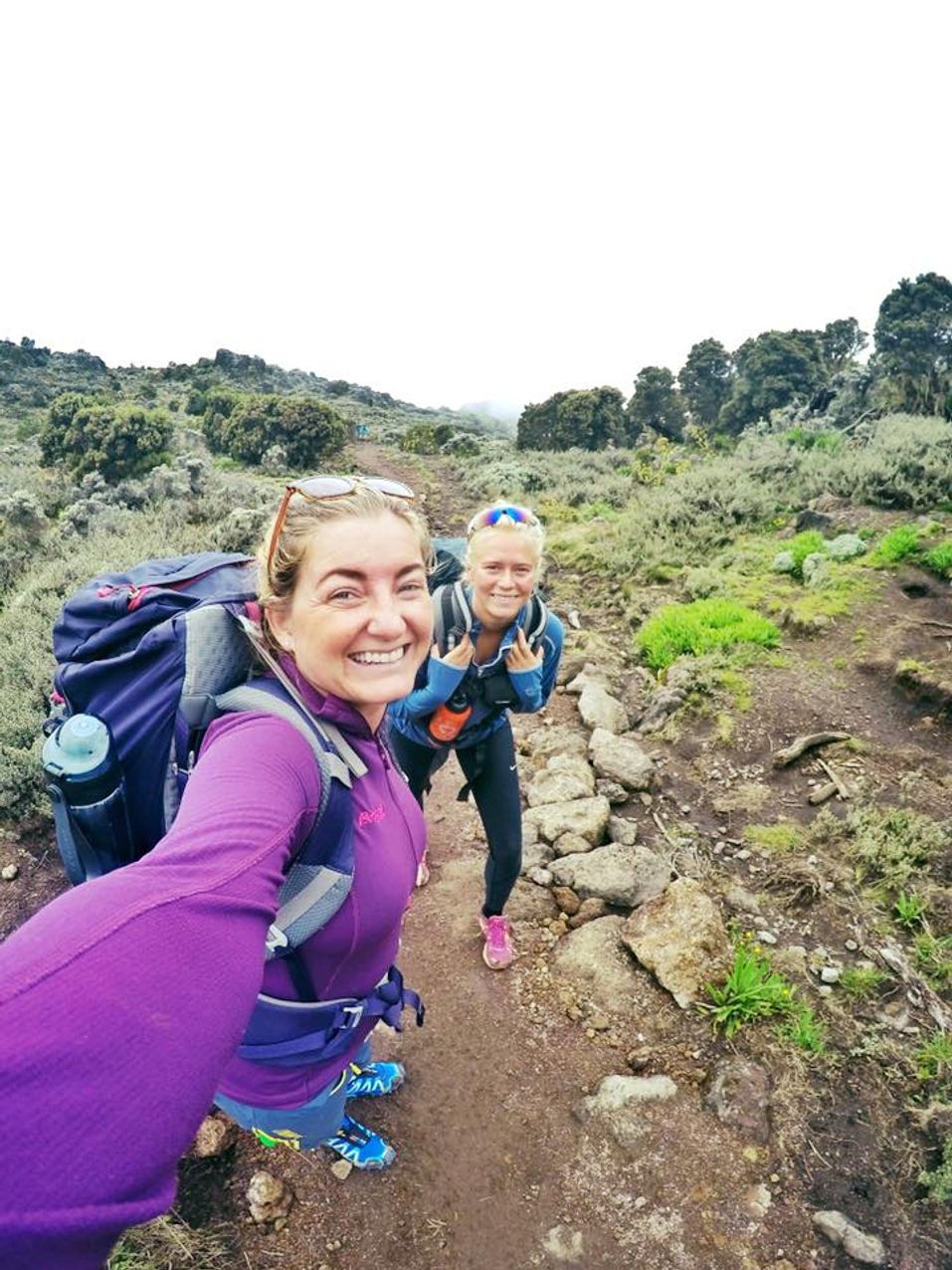 Climb Mount Kilimanjaro - 8 day Lemosho Route - Photo 5