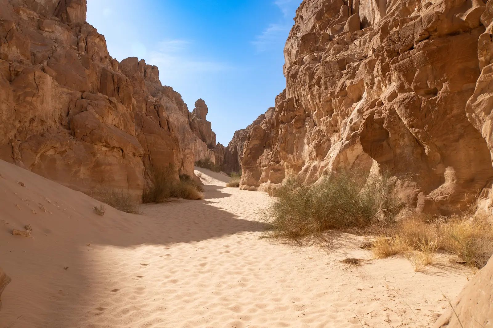 Discovering the Sinai Peninsula – Summit to Sea - Photo 10