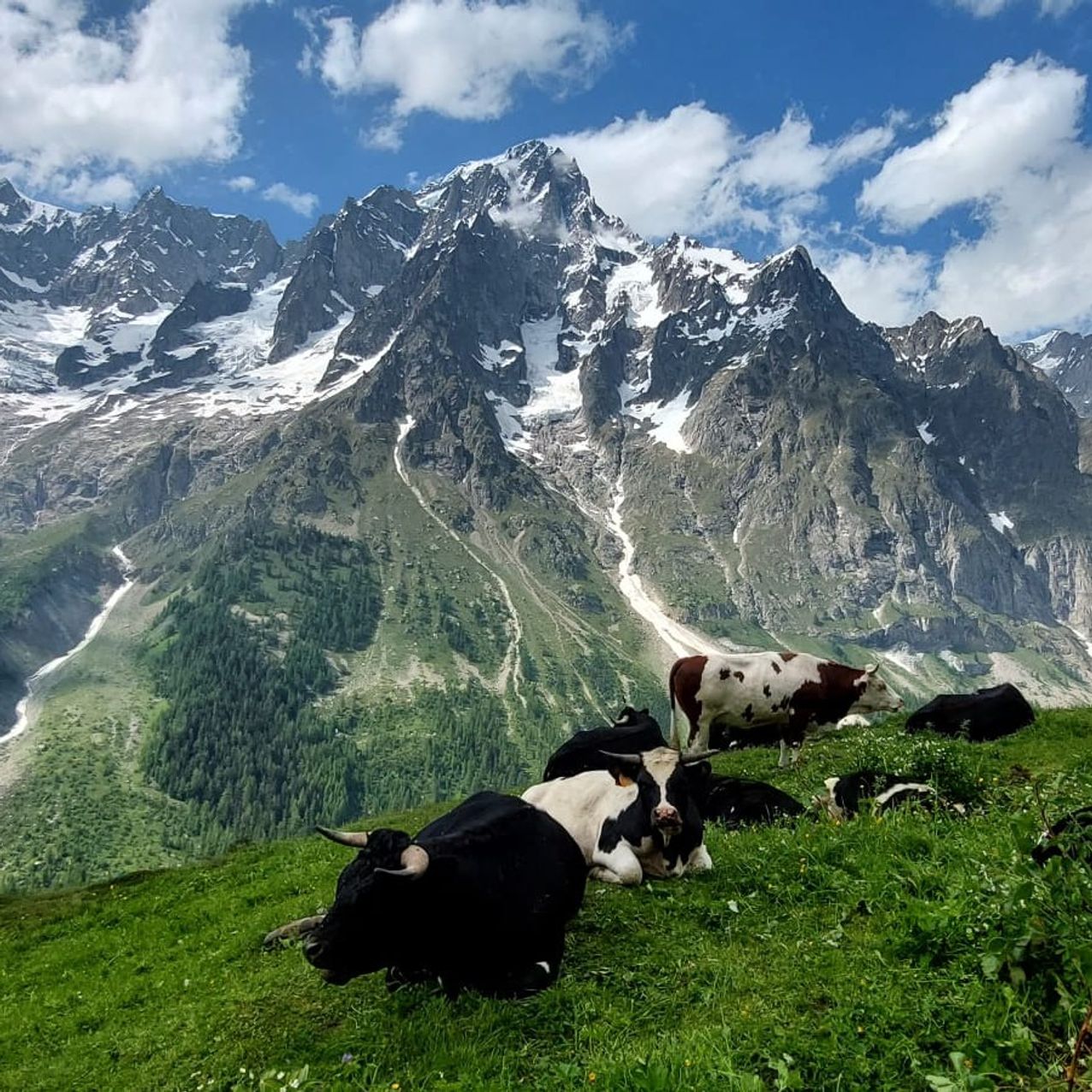 Tour du Mont Blanc (Best Bits) - Photo 5