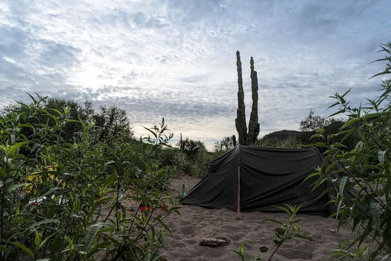 Tent in Baja California dessert