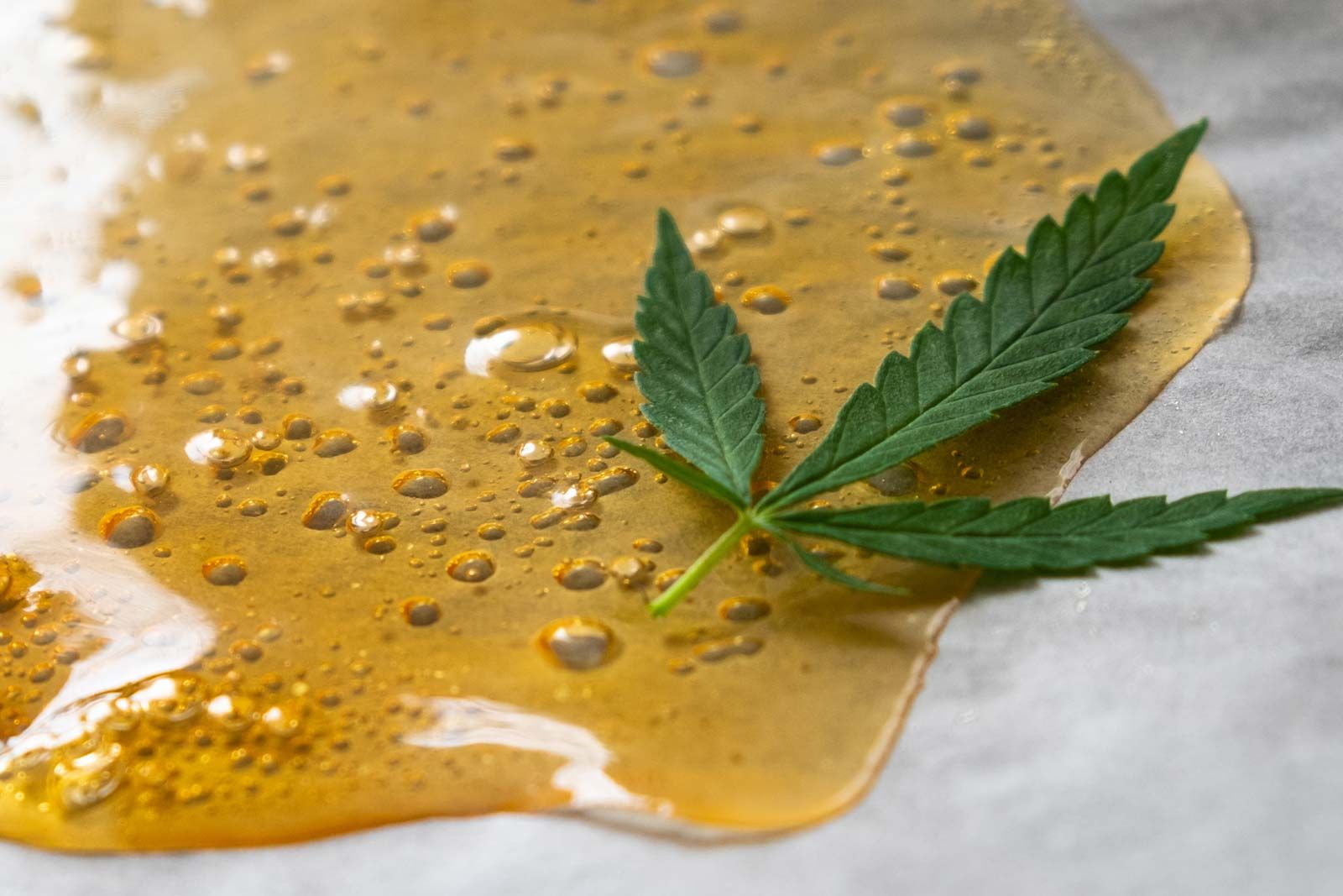 Extraction CBD : comment produire du CBD à partir de chanvre ?