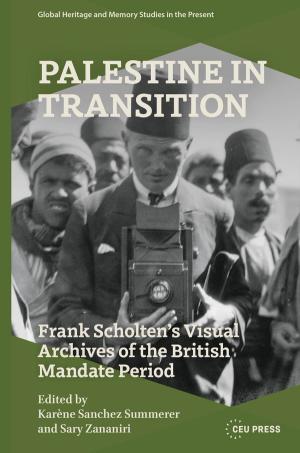 Palestine in Transition
