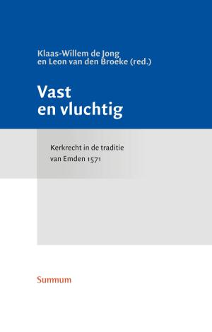 Vast en vluchtig