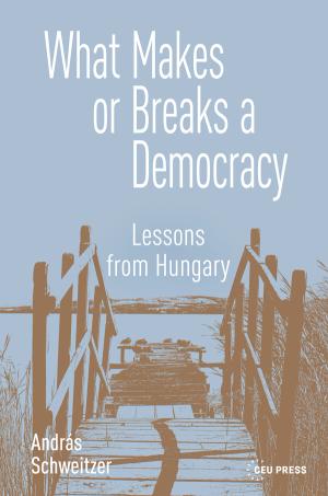 What Makes or Breaks a Democracy