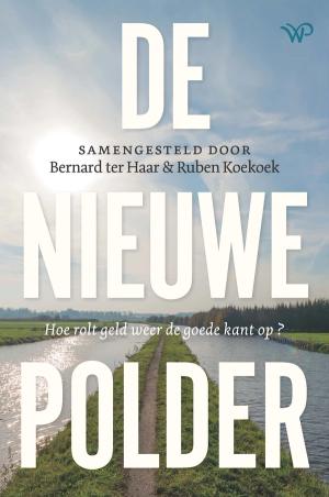 De nieuwe polder