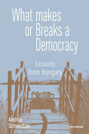 What Makes or Breaks a Democracy
