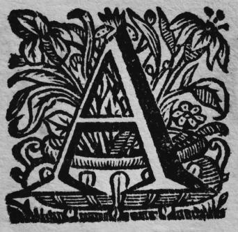 Een mooie NRC-bespreking van 'Het ABC van de biografie' 