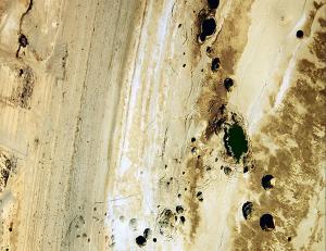 Middle East Environmental Histories (2)