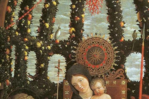 AUP-ANZAMEMS Virtual Conference Participation: Categories, Boundaries, Horizons