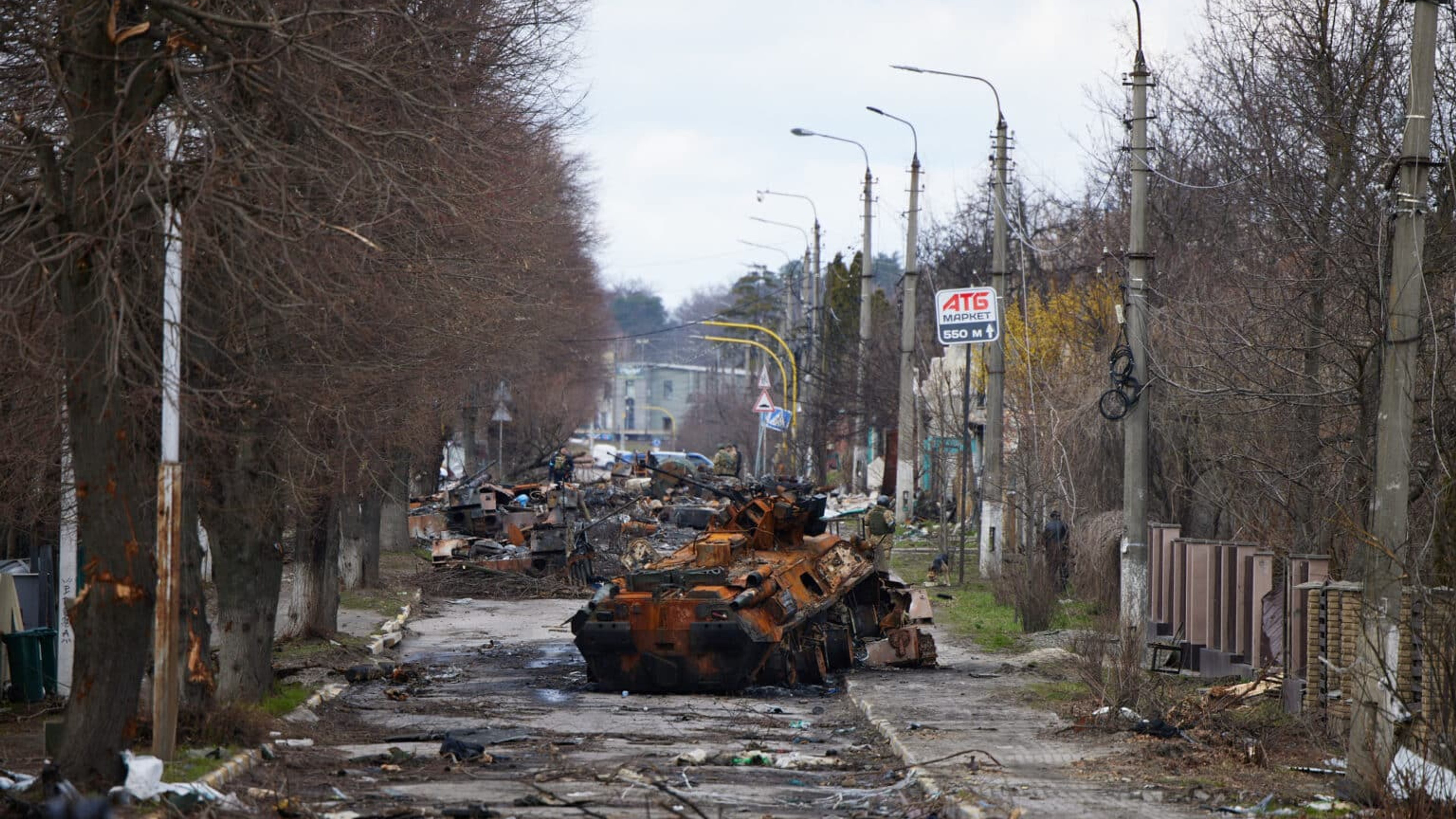 Russia–Ukraine War Enters Fifth Year: What Has Been Achieved Toward Peace?