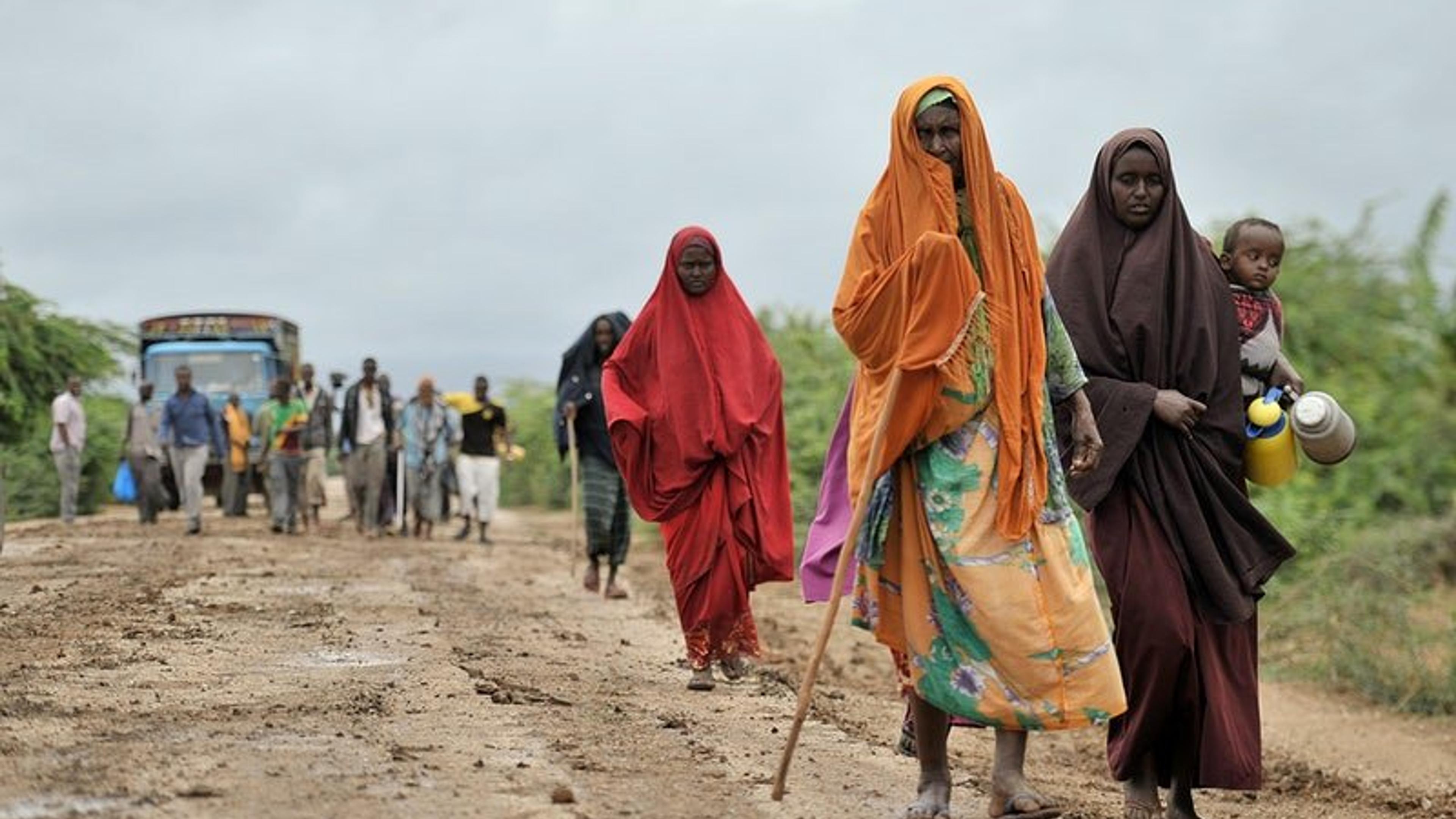 Sesión Urgente de la ONU sobre Sudán: La Crisis de Derechos Humanos y Cómo Puedes Actuar