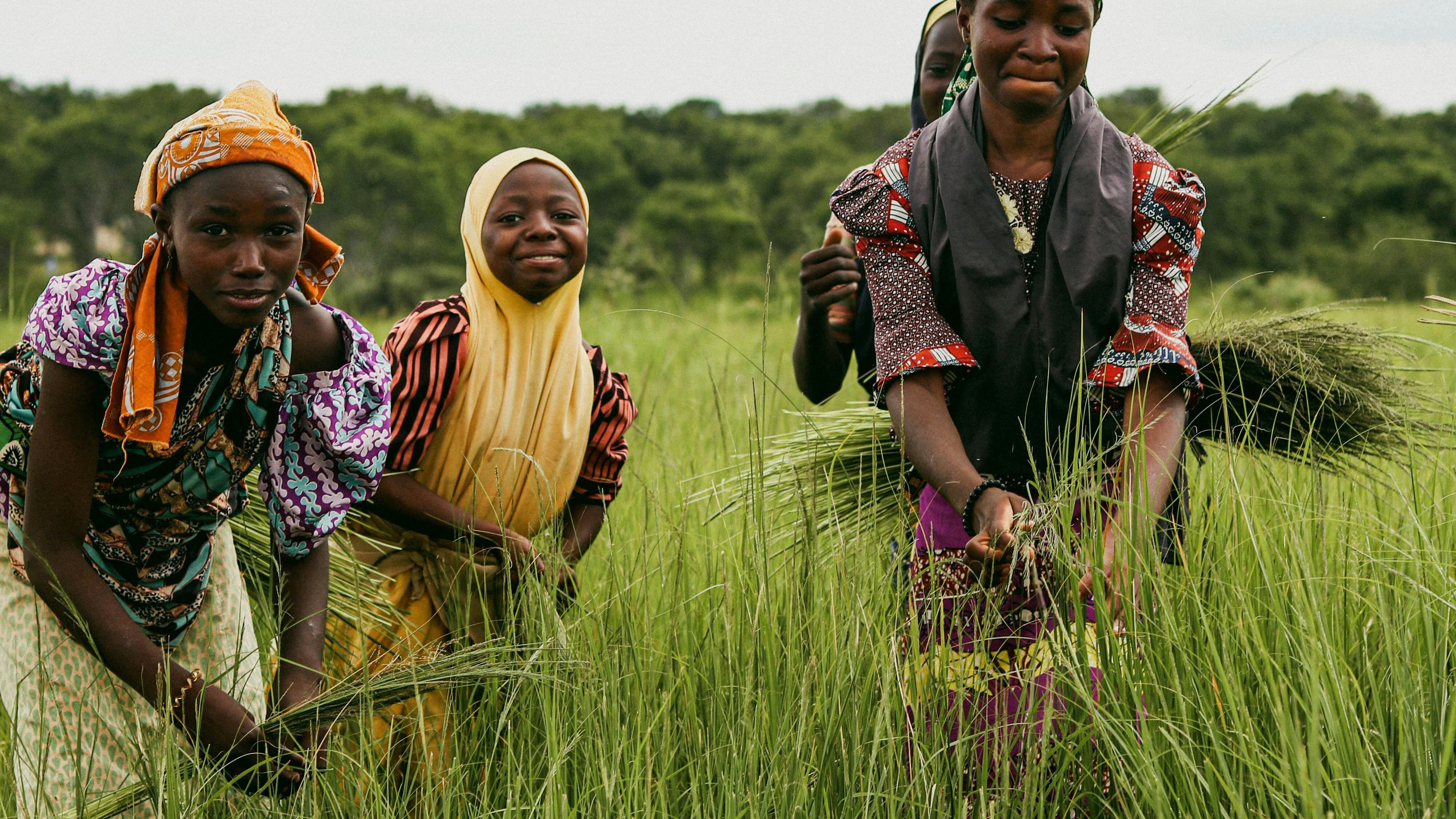 El hambre en África es provocada por el hombre: cómo el poder, el comercio y la educación moldean una crisis prevenible