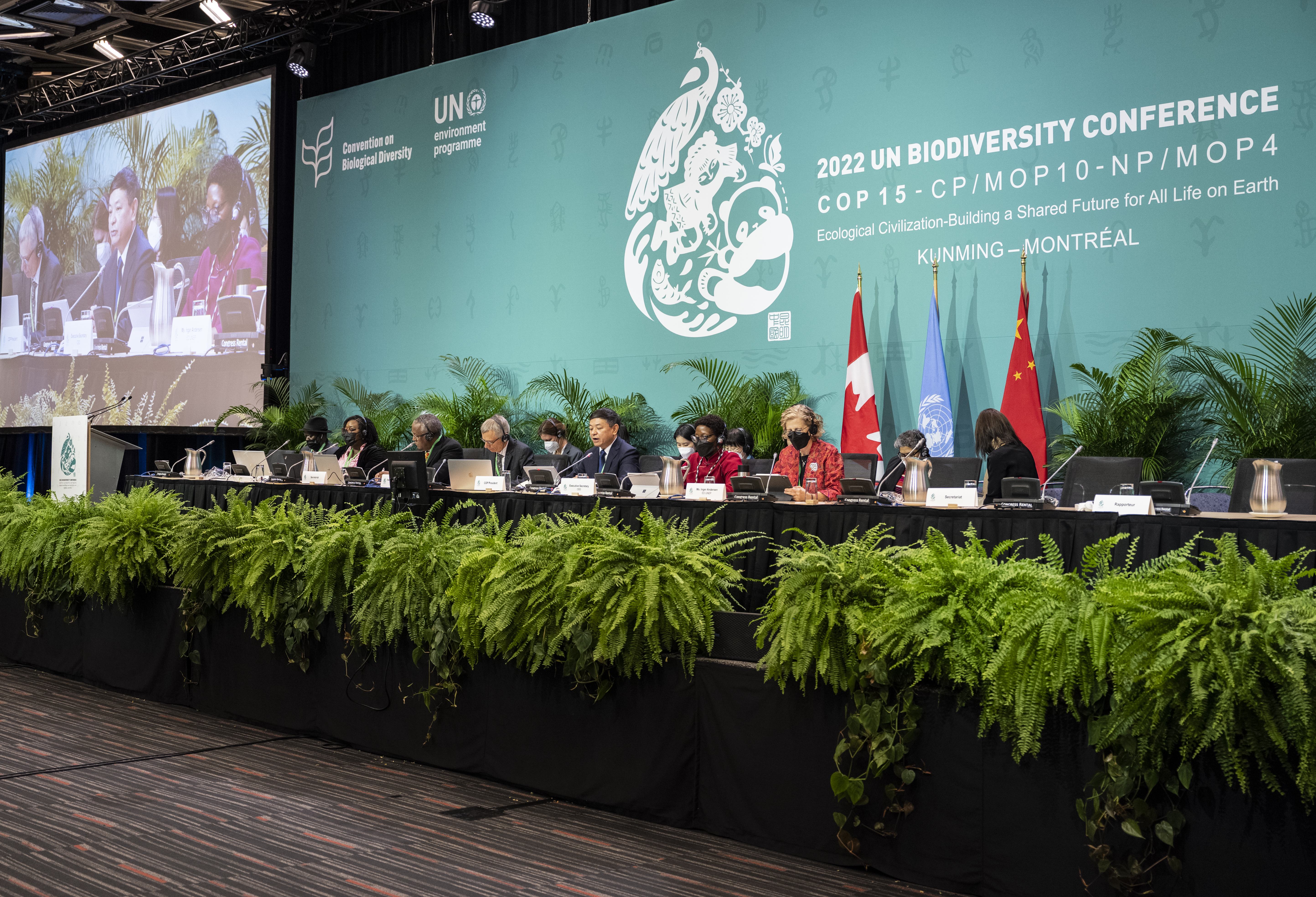 $200 mil millones para la naturaleza: La hoja de ruta financiera de Roma 2025 y el futuro de la biodiversidad global