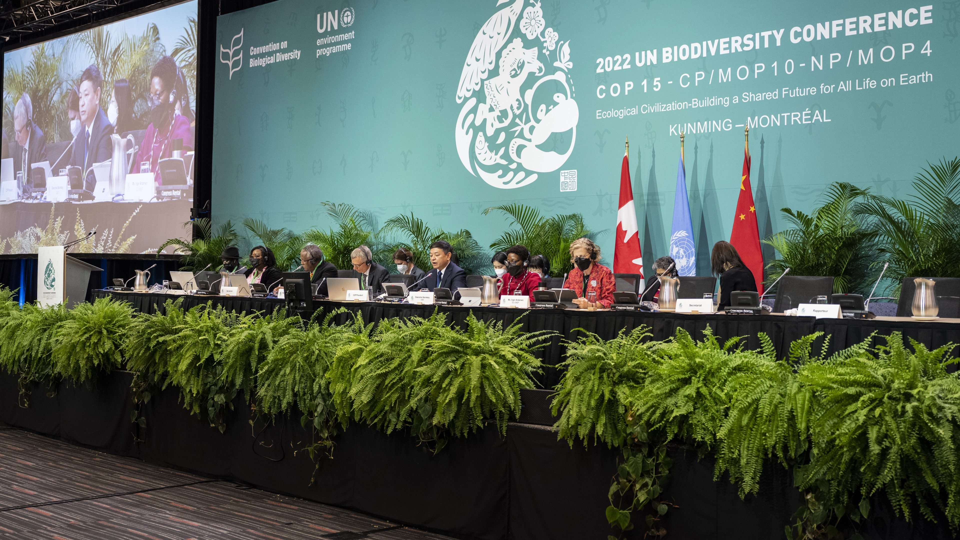 $200 mil millones para la naturaleza: La hoja de ruta financiera de Roma 2025 y el futuro de la biodiversidad global