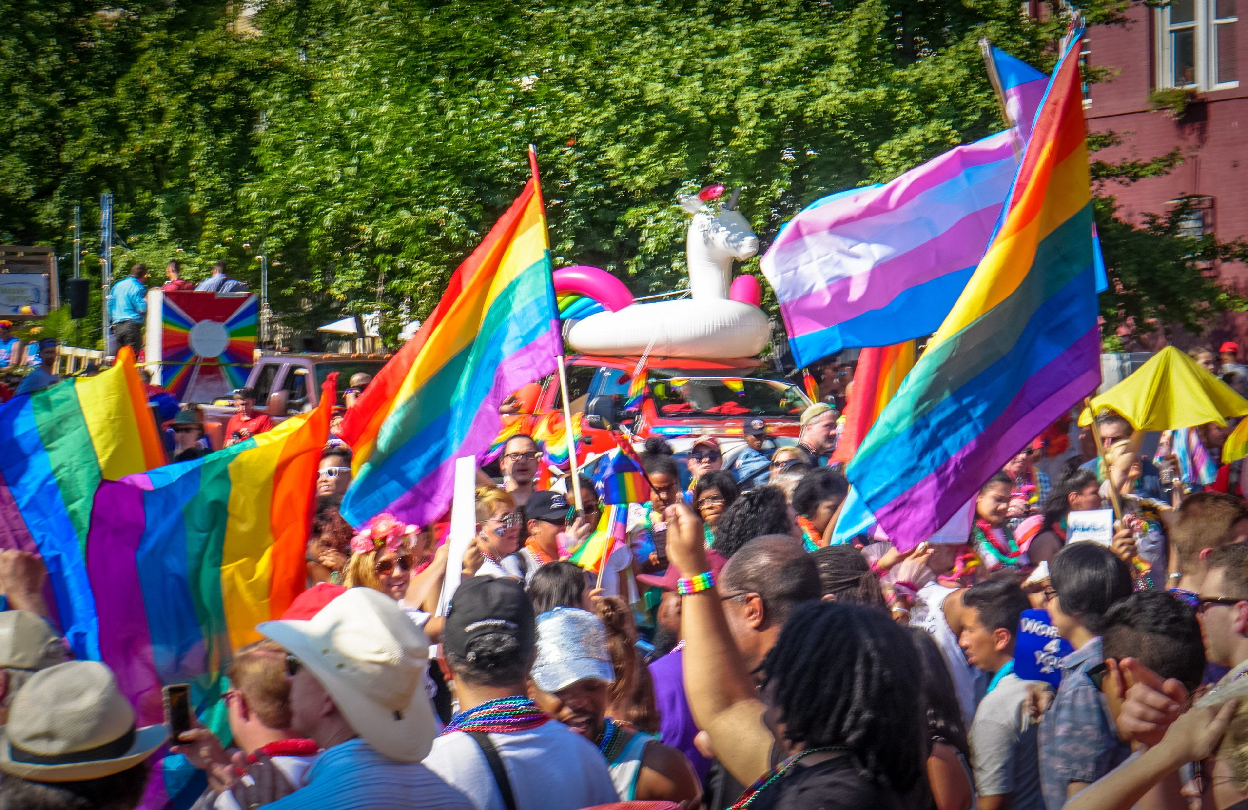 The Evolution of LGBTQ+ Human Rights