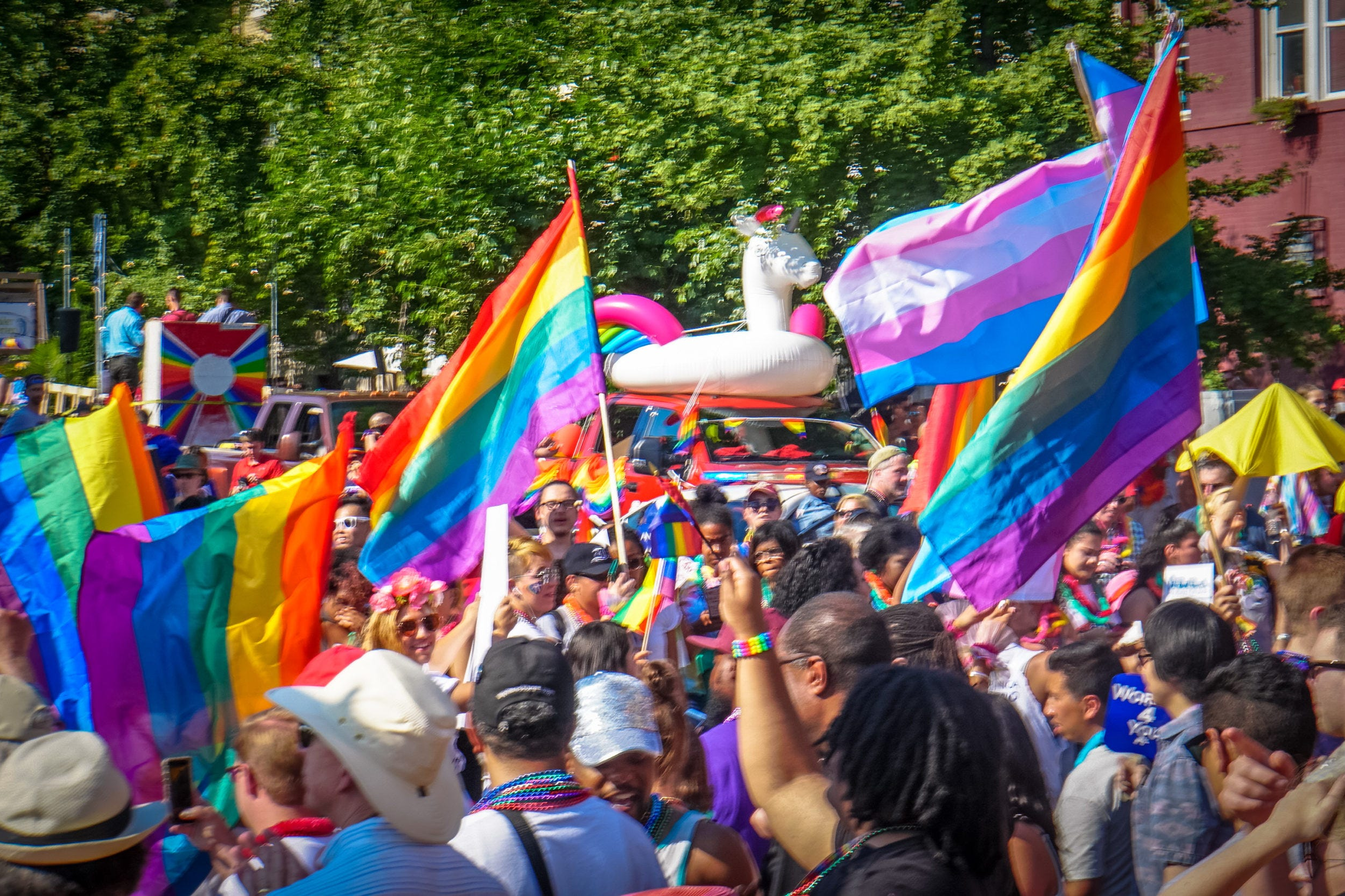 The Evolution of LGBTQ+ Human Rights